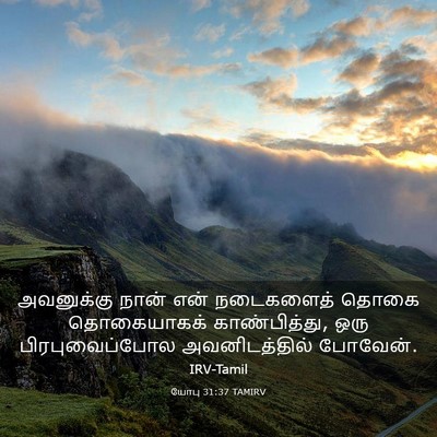 Picture 03 - யோபு 31:37 TAMIRV - அவனுக்கு நான் என் - Bible Verse Picture