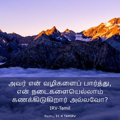 Picture 03 - யோபு 31:4 TAMIRV - அவர் என் வழிகளைப் - Bible Verse Picture