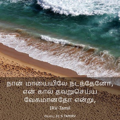 Picture 03 - யோபு 31:5 TAMIRV - நான் மாயையிலே - Bible Verse Picture