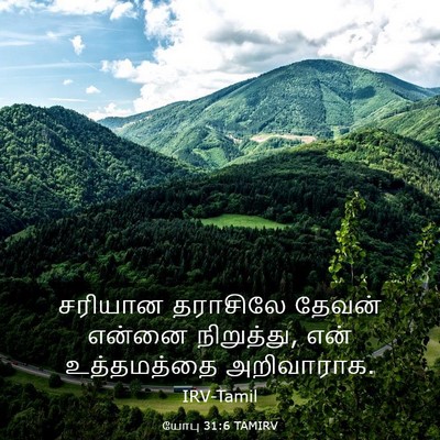Picture 03 - யோபு 31:6 TAMIRV - சரியான தராசிலே - Bible Verse Picture