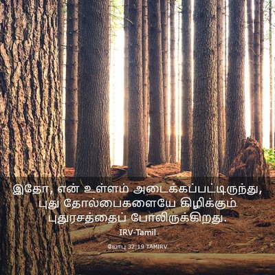 Picture 03 - யோபு 32:19 TAMIRV - இதோ, என் உள்ளம் - Bible Verse Picture