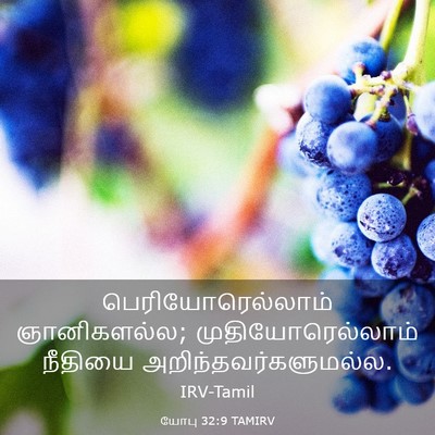 Picture 03 - யோபு 32:9 TAMIRV - பெரியோரெல்லாம் - Bible Verse Picture