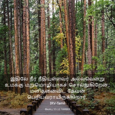 Picture 03 - யோபு 33:12 TAMIRV - இதிலே நீர் - Bible Verse Picture