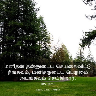 Picture 03 - யோபு 33:17 TAMIRV - மனிதன் தன்னுடைய - Bible Verse Picture