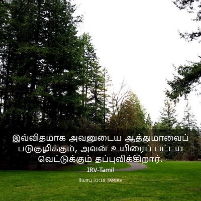 Picture 03 - யோபு 33:18 TAMIRV - இவ்விதமாக அவனுடைய - Bible Verse Picture