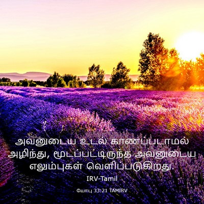 Picture 03 - யோபு 33:21 TAMIRV - அவனுடைய உடல் - Bible Verse Picture