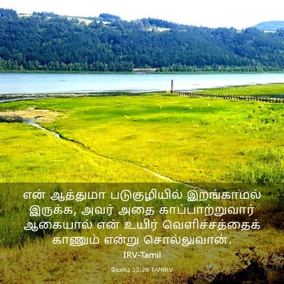 Picture 03 - யோபு 33:28 TAMIRV - என் ஆத்துமா - Bible Verse Picture