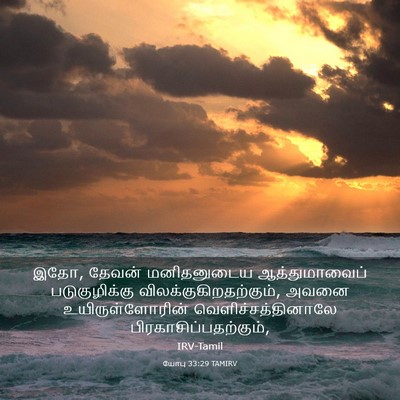 Picture 03 - யோபு 33:29 TAMIRV - இதோ, தேவன் - Bible Verse Picture
