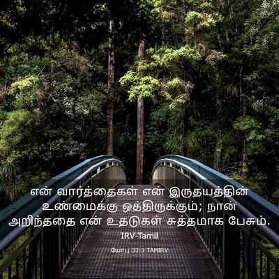 Picture 03 - யோபு 33:3 TAMIRV - என் வார்த்தைகள் - Bible Verse Picture