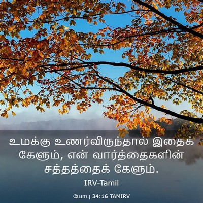 Picture 03 - யோபு 34:16 TAMIRV - உமக்கு - Bible Verse Picture