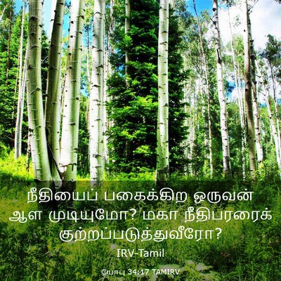 Picture 03 - யோபு 34:17 TAMIRV - நீதியைப் பகைக்கிற - Bible Verse Picture