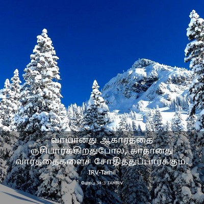 Picture 03 - யோபு 34:3 TAMIRV - வாயானது ஆகாரத்தை - Bible Verse Picture