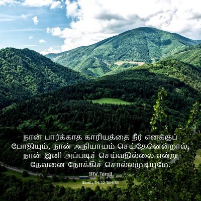 Picture 03 - யோபு 34:32 TAMIRV - நான் பார்க்காத - Bible Verse Picture