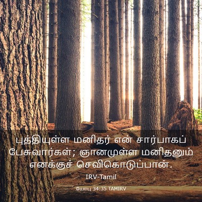 Picture 03 - யோபு 34:35 TAMIRV - புத்தியுள்ள - Bible Verse Picture
