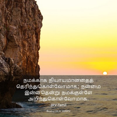 Picture 03 - யோபு 34:4 TAMIRV - நமக்காக - Bible Verse Picture
