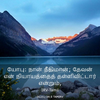Picture 03 - யோபு 34:5 TAMIRV - யோபு: நான் - Bible Verse Picture