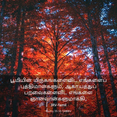 Picture 03 - யோபு 35:10 TAMIRV - பூமியின் - Bible Verse Picture