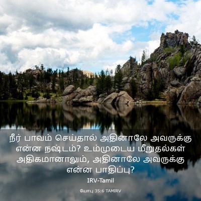 Picture 03 - யோபு 35:6 TAMIRV - நீர் பாவம் - Bible Verse Picture