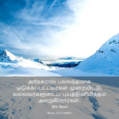 Picture 03 - யோபு 35:9 TAMIRV - அநேகரால் - Bible Verse Picture