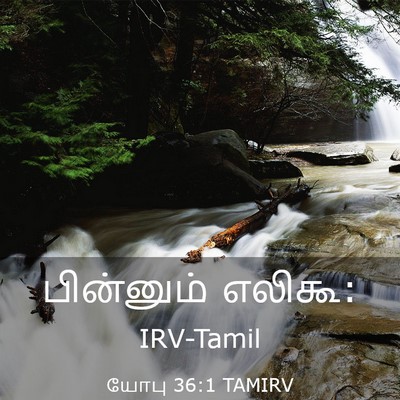 Picture 03 - யோபு 36:1 TAMIRV - பின்னும் - Bible Verse Picture