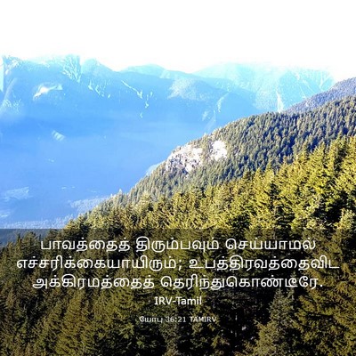 Picture 03 - யோபு 36:21 TAMIRV - பாவத்தைத் - Bible Verse Picture