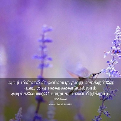 Picture 03 - யோபு 36:32 TAMIRV - அவர் மின்னலின் - Bible Verse Picture
