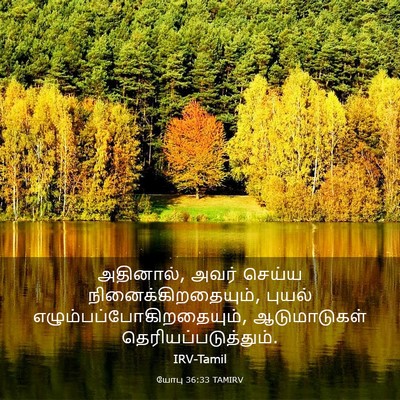 Picture 03 - யோபு 36:33 TAMIRV - அதினால், அவர் - Bible Verse Picture