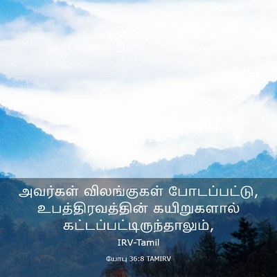 Picture 03 - யோபு 36:8 TAMIRV - அவர்கள் - Bible Verse Picture