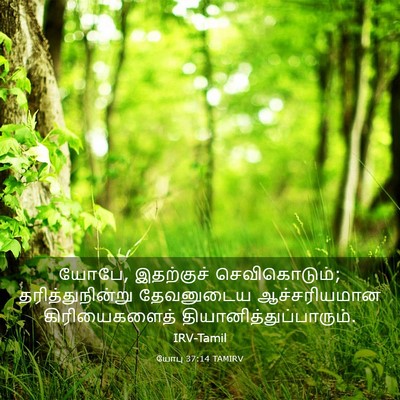 Picture 03 - யோபு 37:14 TAMIRV - யோபே, இதற்குச் - Bible Verse Picture