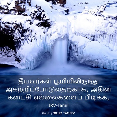 Picture 03 - யோபு 38:12 TAMIRV - தீயவர்கள் - Bible Verse Picture