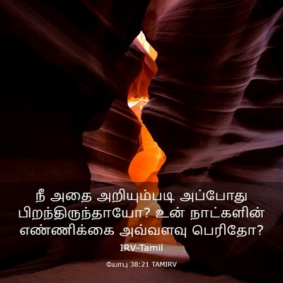 Picture 03 - யோபு 38:21 TAMIRV - நீ அதை அறியும்படி - Bible Verse Picture