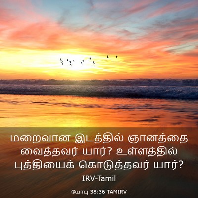 Picture 03 - யோபு 38:36 TAMIRV - மறைவான இடத்தில் - Bible Verse Picture