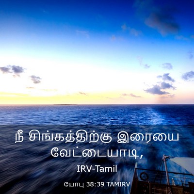 Picture 03 - யோபு 38:39 TAMIRV - நீ சிங்கத்திற்கு - Bible Verse Picture