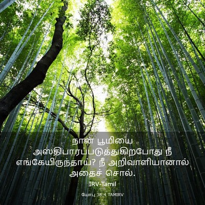 Picture 03 - யோபு 38:4 TAMIRV - நான் பூமியை - Bible Verse Picture