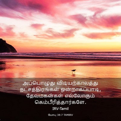 Picture 03 - யோபு 38:7 TAMIRV - அப்பொழுது - Bible Verse Picture
