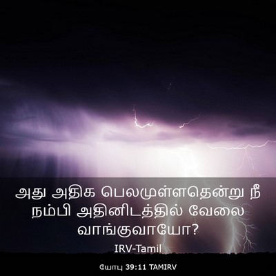 Picture 03 - யோபு 39:11 TAMIRV - அது அதிக - Bible Verse Picture