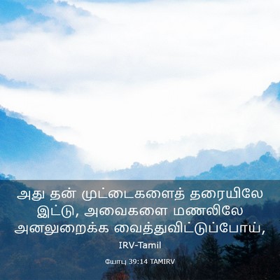 Picture 03 - யோபு 39:14 TAMIRV - அது தன் - Bible Verse Picture