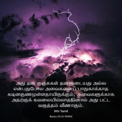 Picture 03 - யோபு 39:16 TAMIRV - அது தன் குஞ்சுகள் - Bible Verse Picture
