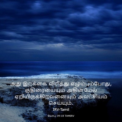 Picture 03 - யோபு 39:18 TAMIRV - அது இறக்கை - Bible Verse Picture