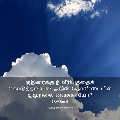 Picture 03 - யோபு 39:19 TAMIRV - குதிரைக்கு நீ - Bible Verse Picture