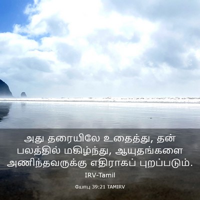 Picture 03 - யோபு 39:21 TAMIRV - அது தரையிலே - Bible Verse Picture