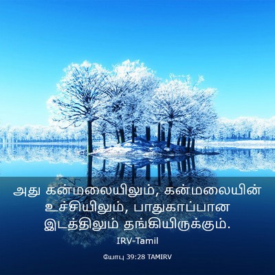 Picture 03 - யோபு 39:28 TAMIRV - அது கன்மலையிலும், - Bible Verse Picture
