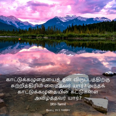 Picture 03 - யோபு 39:5 TAMIRV -  - Bible Verse Picture
