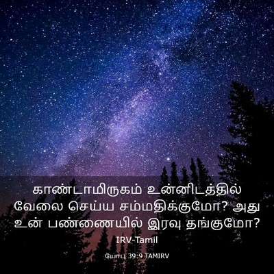 Picture 03 - யோபு 39:9 TAMIRV - காண்டாமிருகம் - Bible Verse Picture