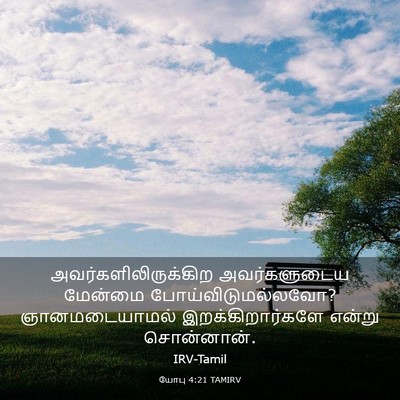 Picture 03 - யோபு 4:21 TAMIRV - அவர்களிலிருக்கிற - Bible Verse Picture