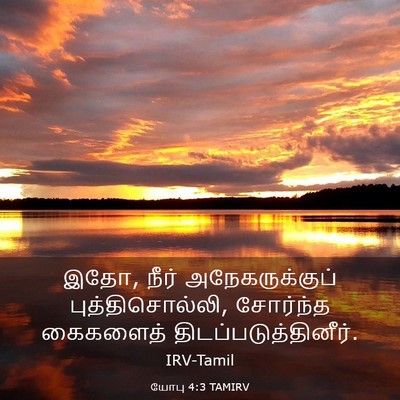 Picture 03 - யோபு 4:3 TAMIRV - இதோ, நீர் - Bible Verse Picture