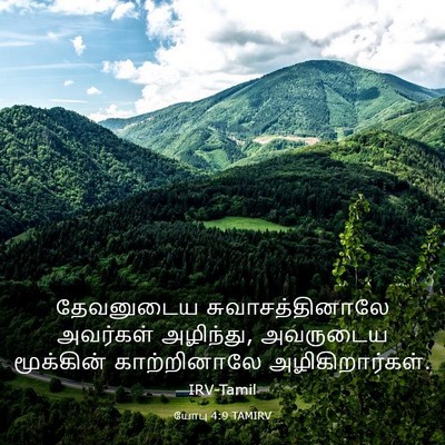 Picture 03 - யோபு 4:9 TAMIRV - தேவனுடைய - Bible Verse Picture
