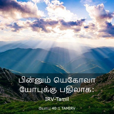 Picture 03 - யோபு 40:1 TAMIRV - பின்னும் யெகோவா - Bible Verse Picture