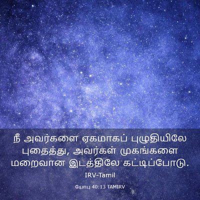 Picture 03 - யோபு 40:13 TAMIRV - நீ அவர்களை - Bible Verse Picture