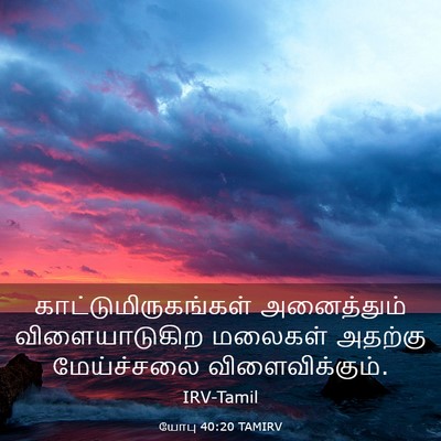 Picture 03 - யோபு 40:20 TAMIRV - காட்டுமிருகங்கள் - Bible Verse Picture